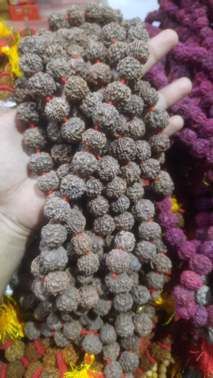 Rudraksha Malas 1