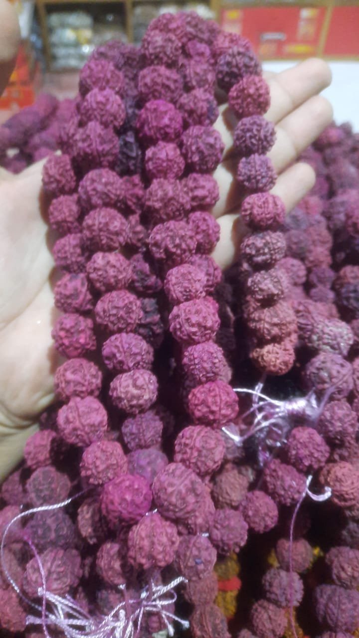 Rudraksha Malas 8