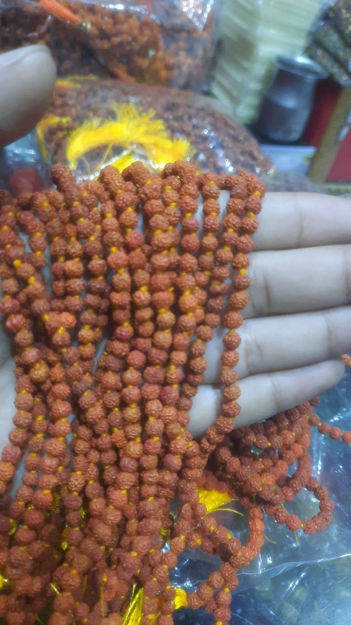 Rudraksha Malas 9