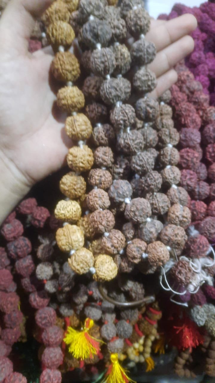 Rudraksha Malas 10