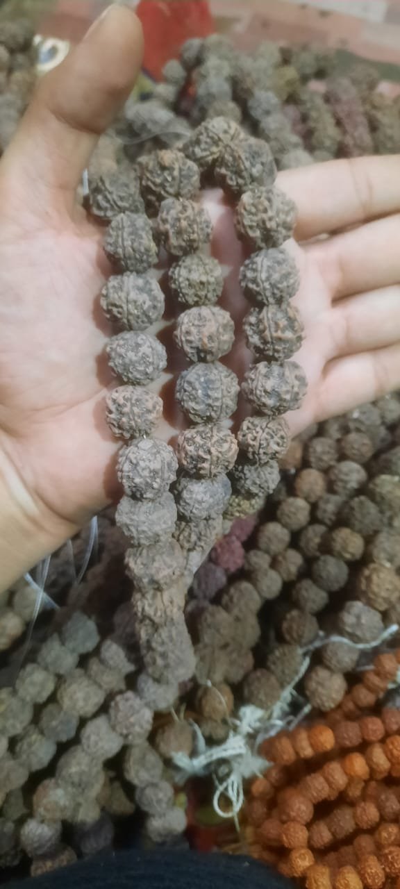 Rudraksha Malas 11